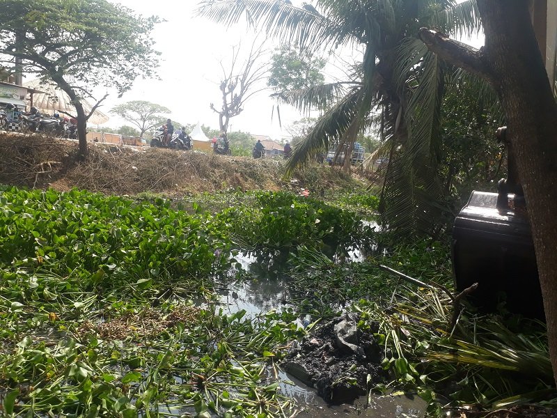 Kondisi Terkini di Kali Pulo Timaha