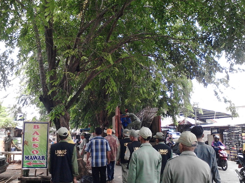 40 PKL di Jalan Kalibaru Ditertibkan