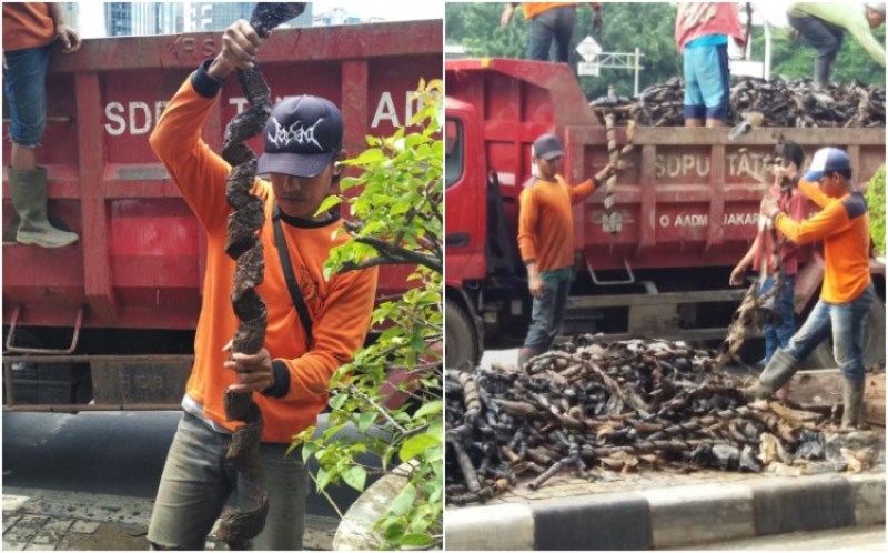 Bungkus Kabel di Gorong gorong Kota Jakarta