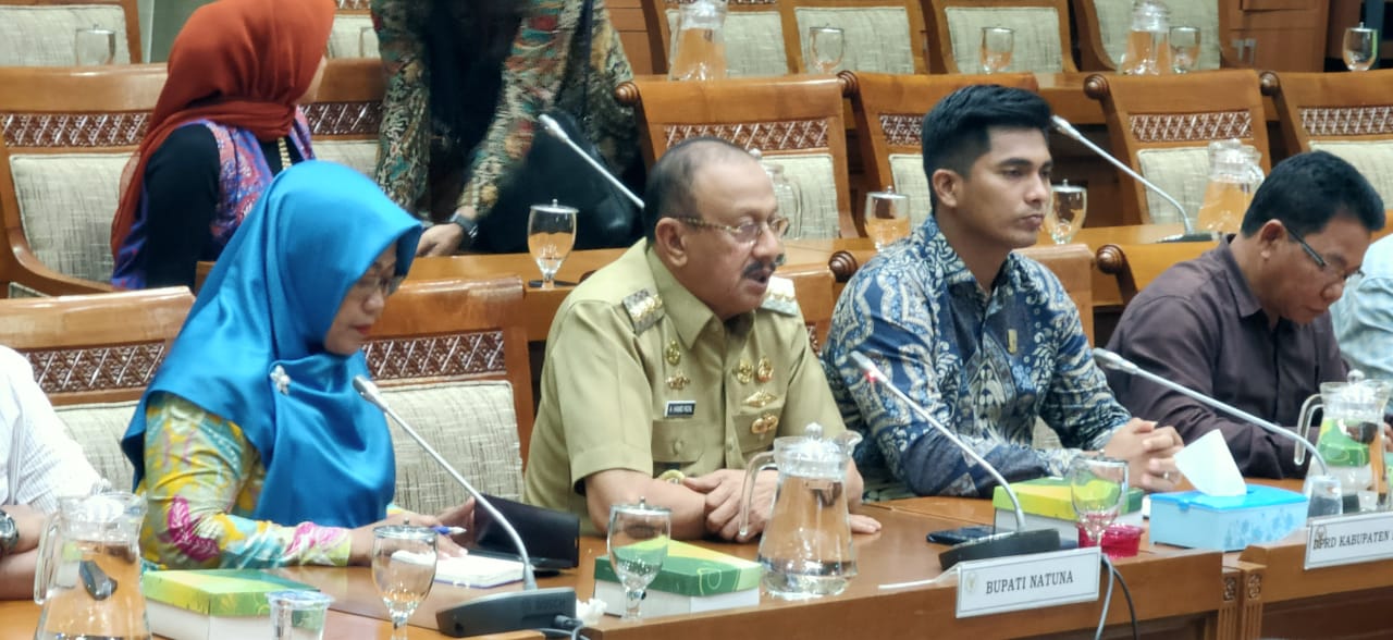 Bupati Natuna Abdul Hamid Rizal dalam rapat dengar pendapat dengan Komisi IX DPR RI