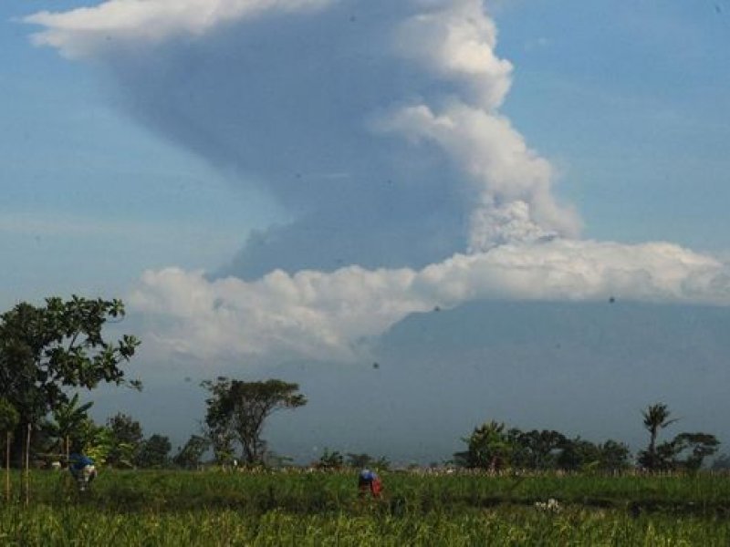 Gunung Merapi erupsi pagi tadi, Minggu (21/6). (Antara Foto/ Aloysius Jarot Nugroho)