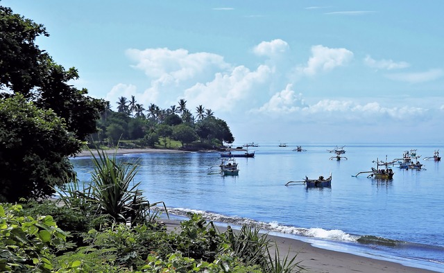 Ilustrasi Teluk Beno