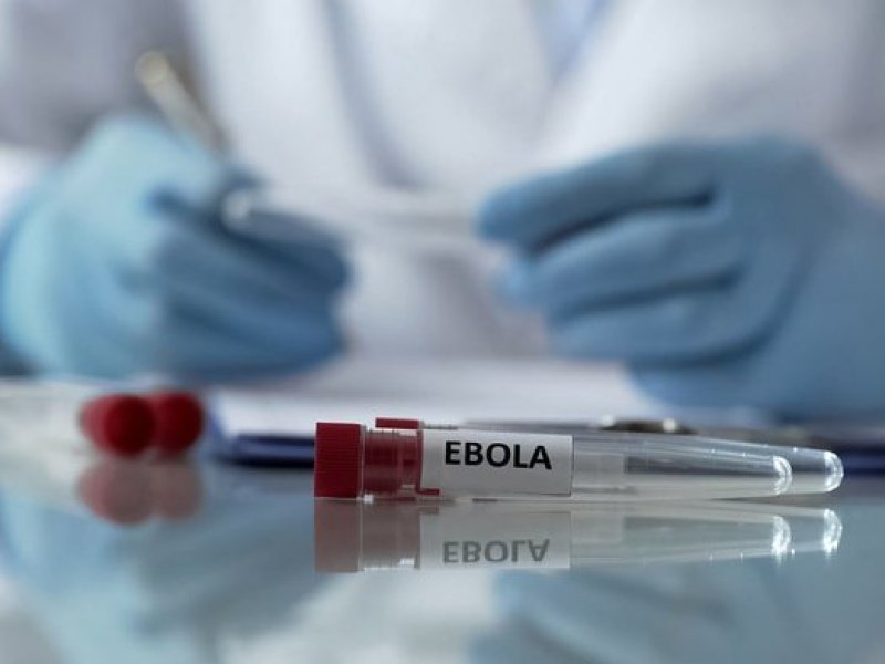 Ilustrasi Virus Ebola. foto/istockphoto