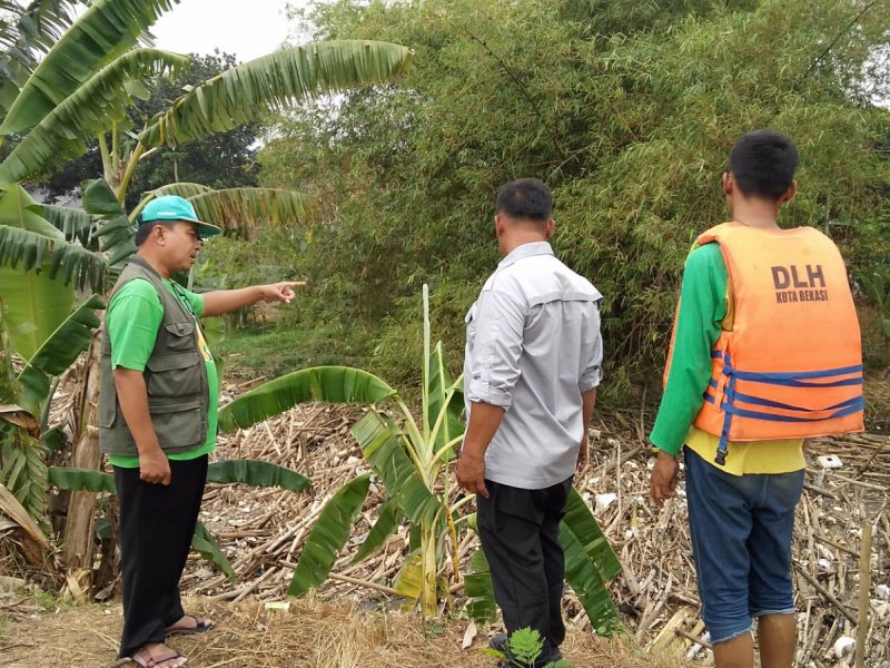 KP2C dan DLH Kota Bekasi meninjau sampah bambu yang menutupi sungai Cikeas di Bendung Koja