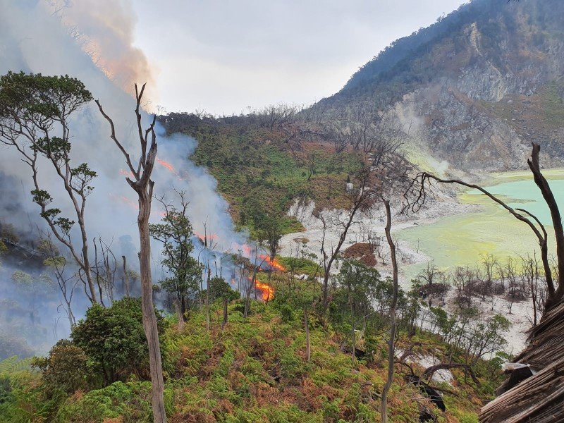 Kebakaran hutan di wisata Kawah Putih, Senin (7/10/2019). (istimewa)