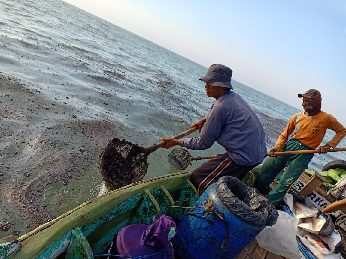 Limbah Pertamina yang mencemari laut