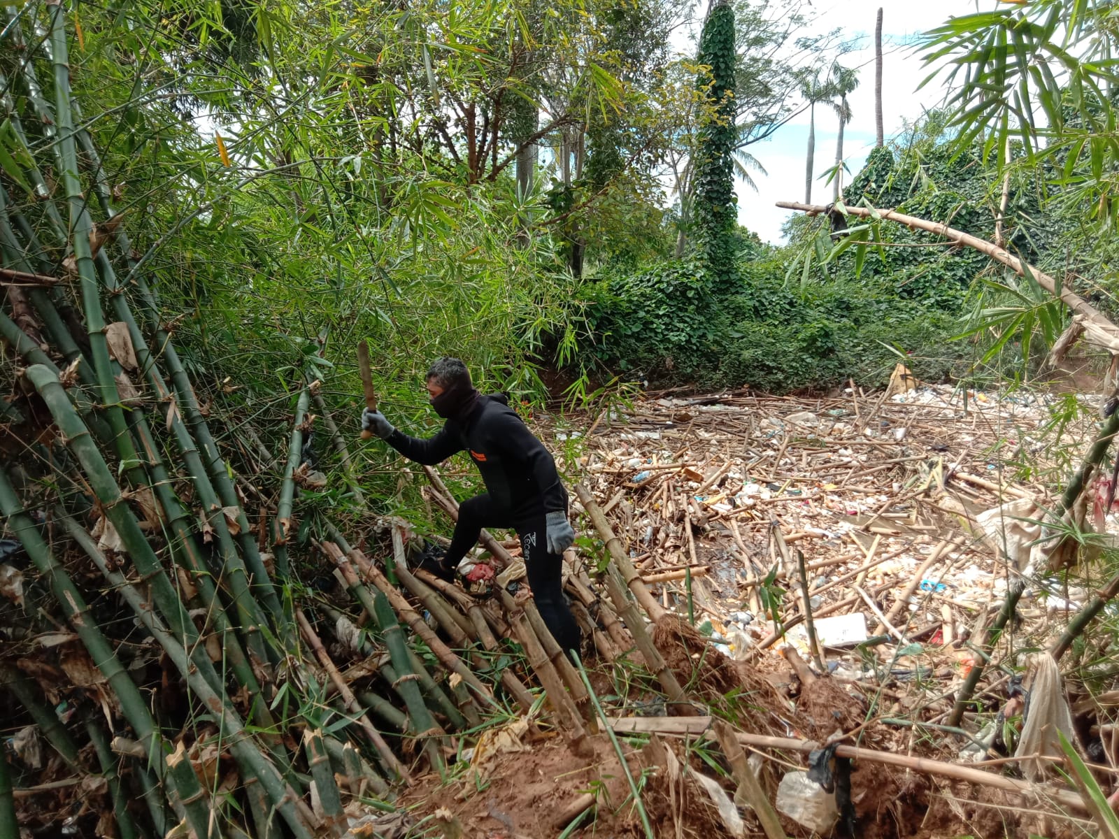 Petugas DLH Kota Bekasi membersihkan sampah bambu di aliran sungai Cikeas