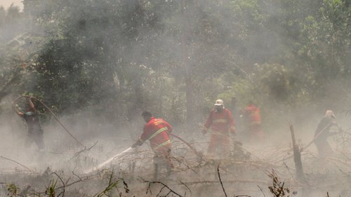 Petugas berjibaku memadamkan bara api yang membakar lahan gambut