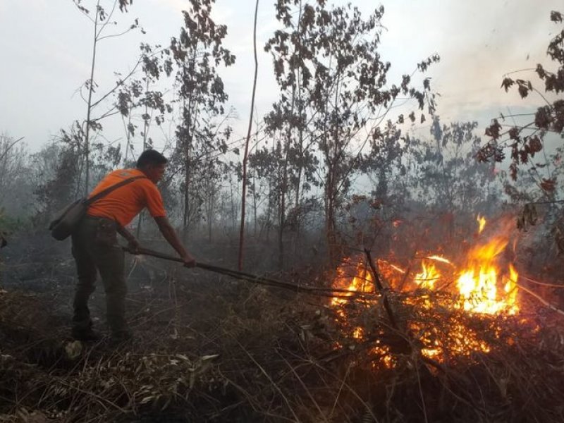 Petugas mencoba memadamkan api yang membakar lahan (ilustrasi)