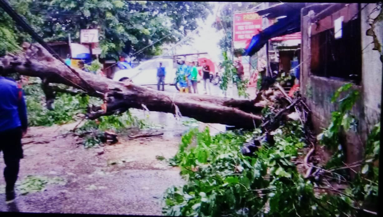 Pohon Tumbang di Jatikaramat Jatiasih Kota Bekasi