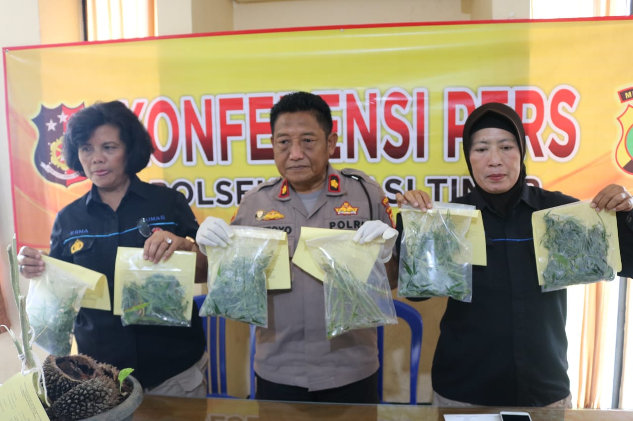 Polres Metro Bekasi Kota menunjukkan barang bukti tanaman ganja dari tersangka di Margahayu