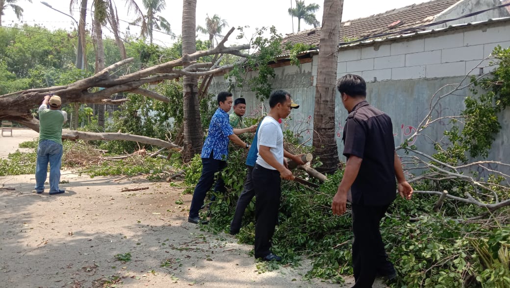 Proses membersihkan pohon yang tumbang di Perumahan Tytyan Kencana Bekasi