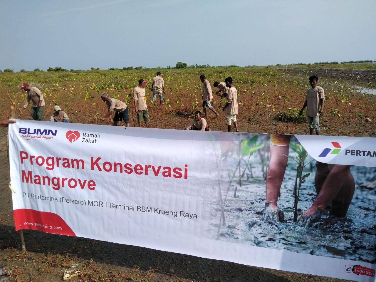 Rumah Zakat dan Pertamina menanam 15.000 pohon mangrove di Aceh