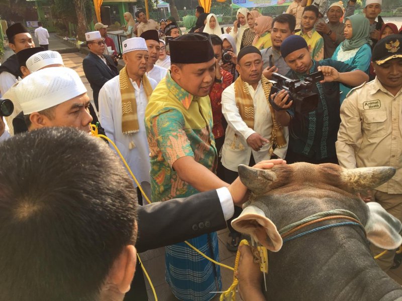 Tri Adhianto menyerahkan dua ekor sapi qurban dari Pemkot Bekasi ke Masjid Agung Al-Barkah