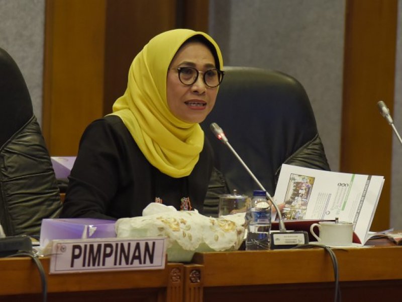 Wakil Ketua Komisi X DPR RI, Hetifah Sjaifudian (istimewa)