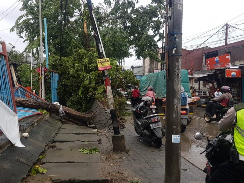 Pohon tumbang di Jalan Perjuangan, Bekasi Utara (26/2) [Foto : Ibnu/Dakta]