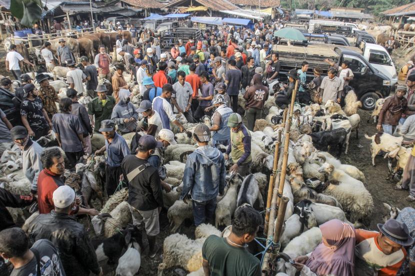 aktivitas jual beli di pasar hewan jonggol kabupaten bogor