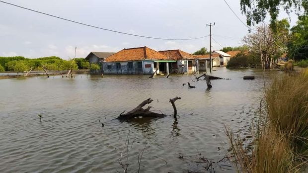 banjir rob di muaragembong.dok istimewa