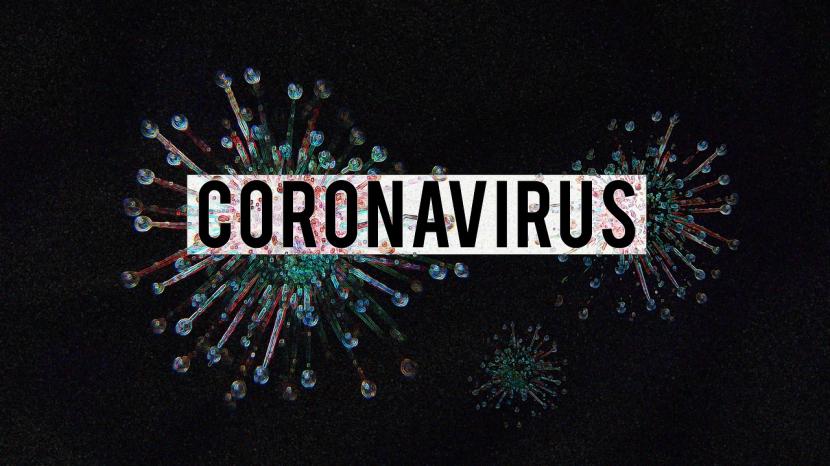 virus corona 210715213343 422